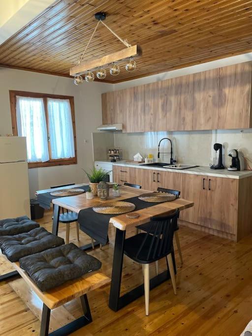 Politis' Wooden House Apartamento Vasilikí Exterior foto
