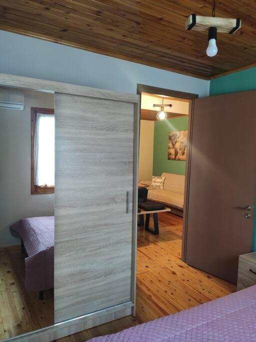 Politis' Wooden House Apartamento Vasilikí Exterior foto